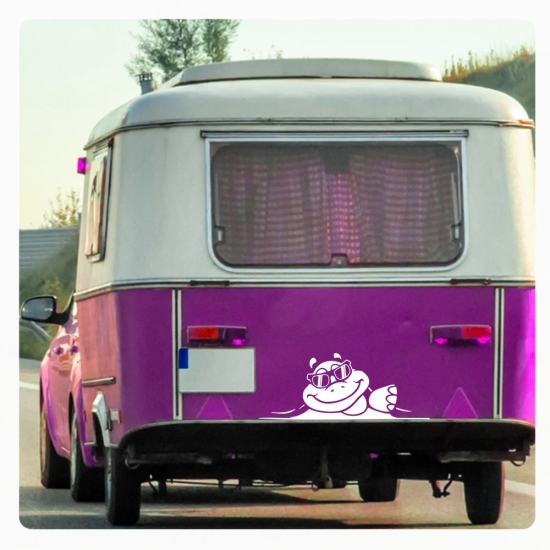 Schildkröte Sticker Aufkleber Autoaufkleber schaut raus Cool WoMo188